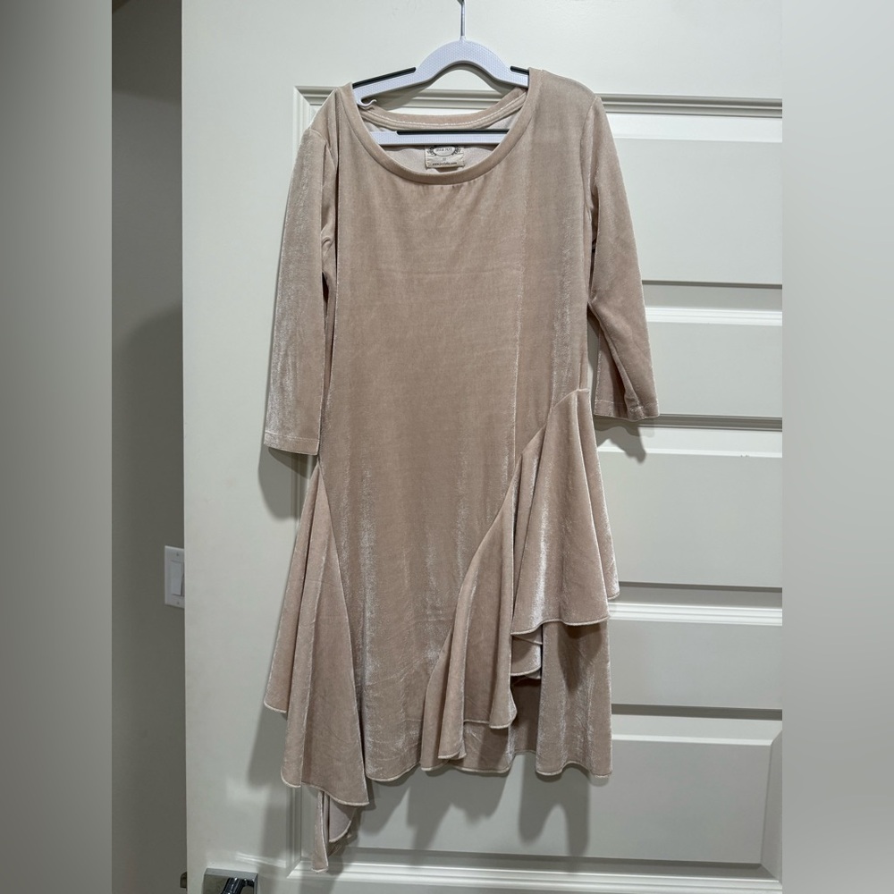 Joyfolie Velvet Dress
